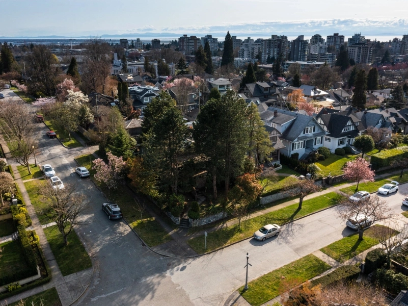 A view of houses and trees from above.